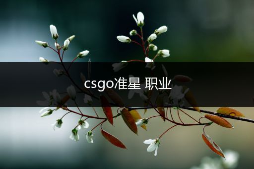 csgo准星 职业