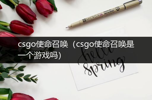 csgo使命召唤（csgo使命召唤是一个游戏吗）