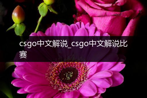 csgo中文解说_csgo中文解说比赛