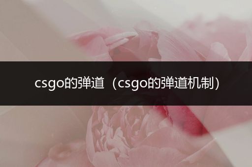 csgo的弹道（csgo的弹道机制）