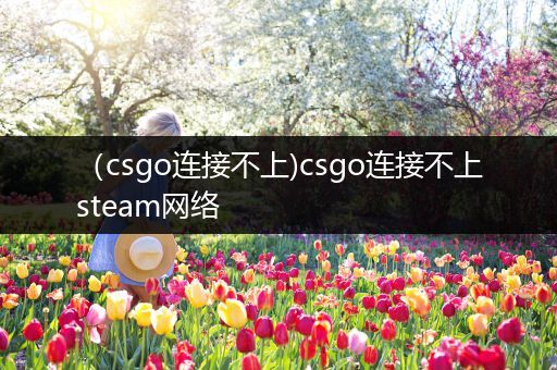 （csgo连接不上)csgo连接不上steam网络