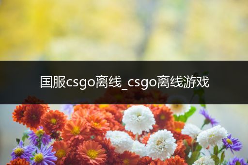 国服csgo离线_csgo离线游戏