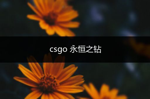 csgo 永恒之钻