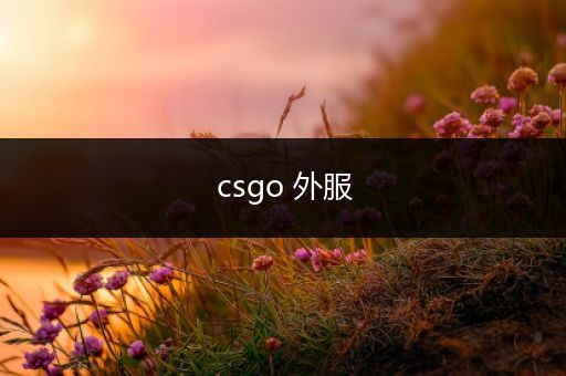 csgo 外服