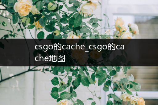 csgo的cache_csgo的cache地图