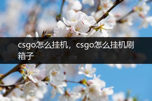 csgo怎么挂机，csgo怎么挂机刷箱子