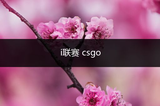 i联赛 csgo