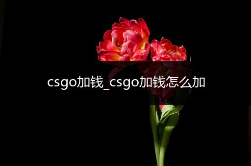 csgo加钱_csgo加钱怎么加