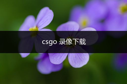 csgo 录像下载