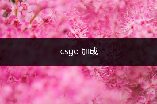 csgo 加成