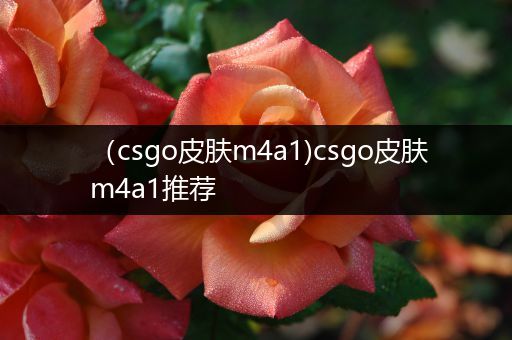 （csgo皮肤m4a1)csgo皮肤m4a1推荐