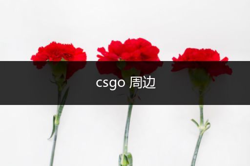 csgo 周边