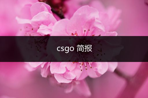 csgo 简报