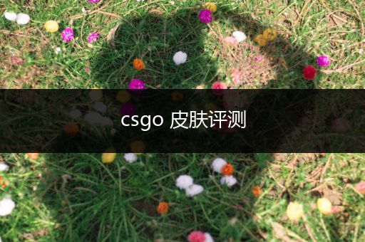 csgo 皮肤评测