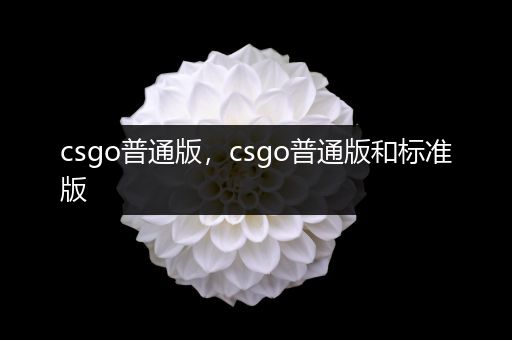 csgo普通版，csgo普通版和标准版