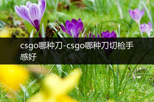 csgo哪种刀-csgo哪种刀切枪手感好