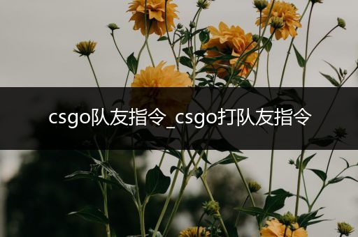 csgo队友指令_csgo打队友指令