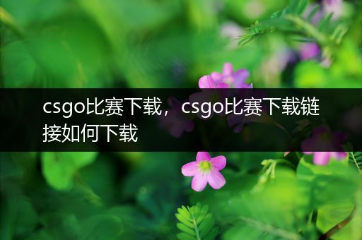 csgo比赛下载，csgo比赛下载链接如何下载