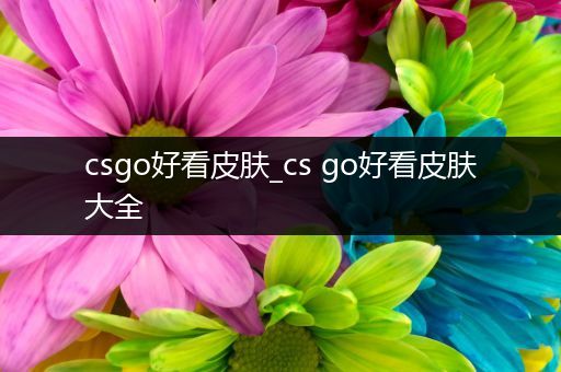 csgo好看皮肤_cs go好看皮肤大全