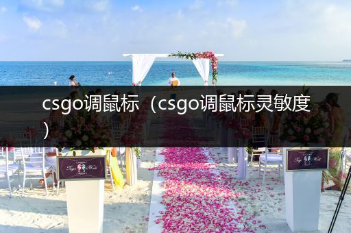 csgo调鼠标（csgo调鼠标灵敏度）