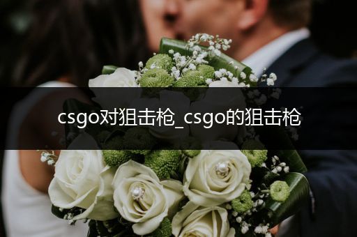 csgo对狙击枪_csgo的狙击枪