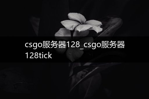 csgo服务器128_csgo服务器128tick