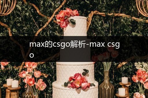 max的csgo解析-max csgo