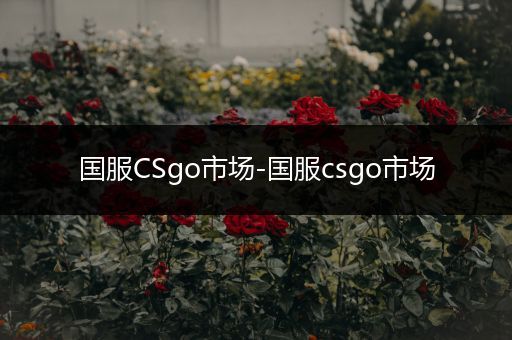 国服CSgo市场-国服csgo市场