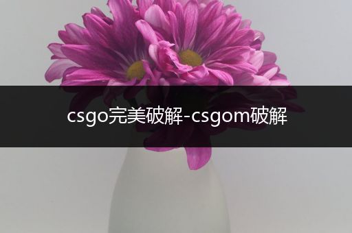 csgo完美破解-csgom破解