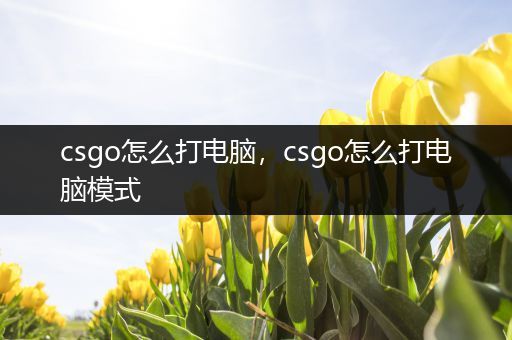 csgo怎么打电脑，csgo怎么打电脑模式