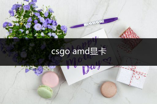 csgo amd显卡