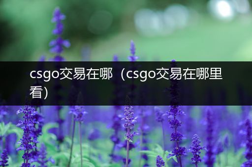 csgo交易在哪（csgo交易在哪里看）