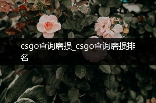 csgo查询磨损_csgo查询磨损排名