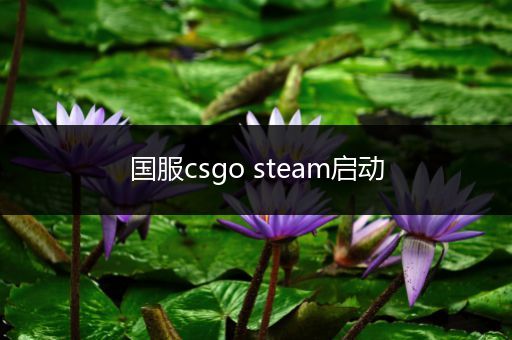 国服csgo steam启动