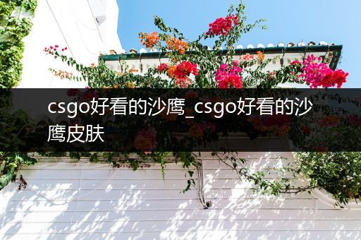 csgo好看的沙鹰_csgo好看的沙鹰皮肤