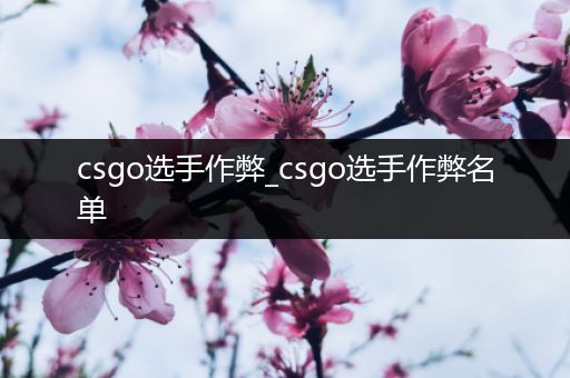 csgo选手作弊_csgo选手作弊名单