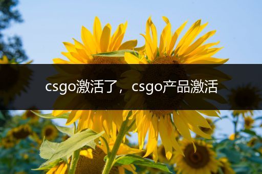 csgo激活了，csgo产品激活