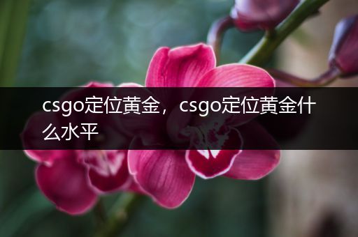 csgo定位黄金，csgo定位黄金什么水平