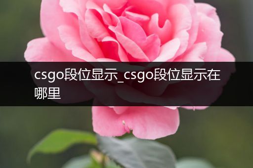 csgo段位显示_csgo段位显示在哪里