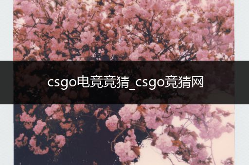 csgo电竞竞猜_csgo竞猜网