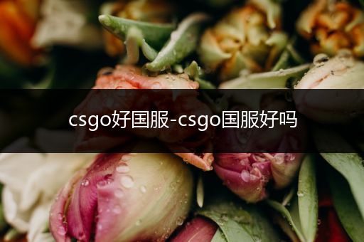 csgo好国服-csgo国服好吗