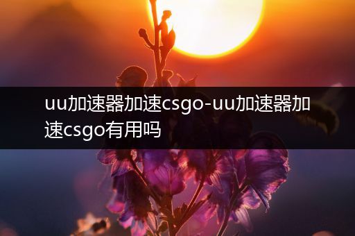 uu加速器加速csgo-uu加速器加速csgo有用吗