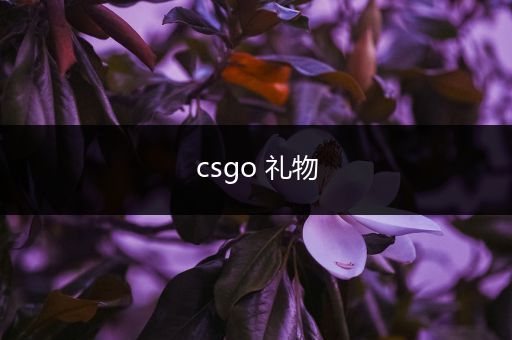 csgo 礼物