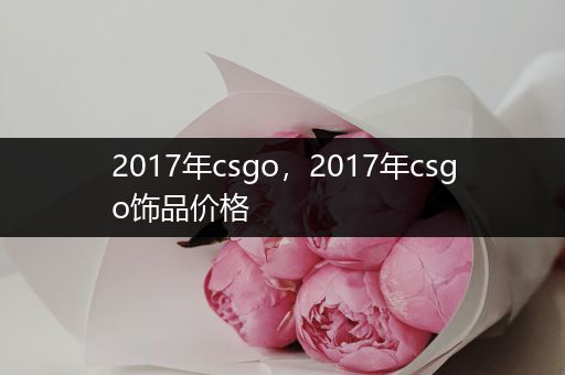 2017年csgo，2017年csgo饰品价格