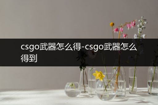 csgo武器怎么得-csgo武器怎么得到