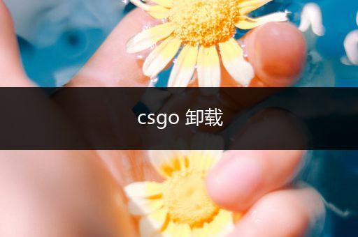 csgo 卸载