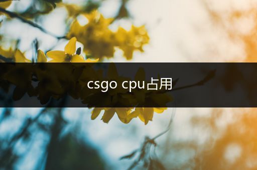 csgo cpu占用