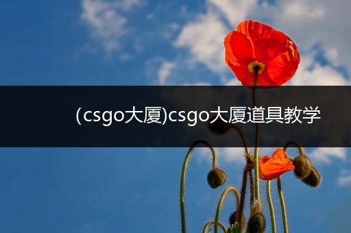 （csgo大厦)csgo大厦道具教学