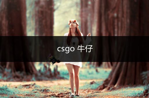 csgo 牛仔