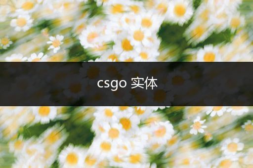 csgo 实体